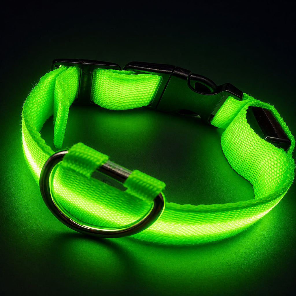 DTCOLLAR LED Collar for Dog  Anti-lost At Night Adjustable Nylon Webbing, Battery-Powered Night Safety for Dogs & Cats