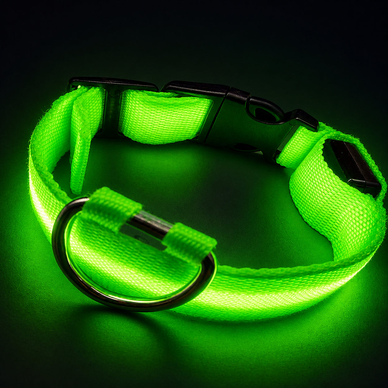 DTCOLLAR LED Collar for Dog  Anti-lost At Night Adjustable Nylon Webbing, Battery-Powered Night Safety for Dogs & Cats