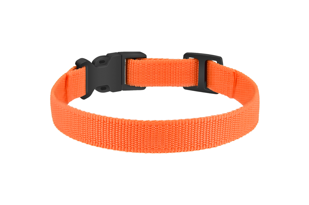 Replacement nylon Collar Strap Fits to All Brands of Pet Shock Bark E Collars