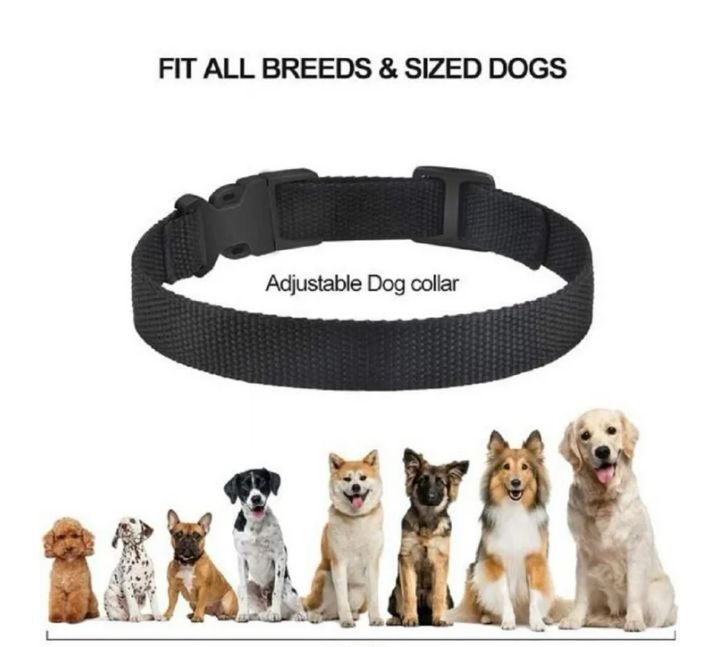 Petjoy Dog Bark Collar,Shock Anti Bark Collar with Beep & Shock,5 Levels,for Dogs 5-120lbs,Waterproof,Gold