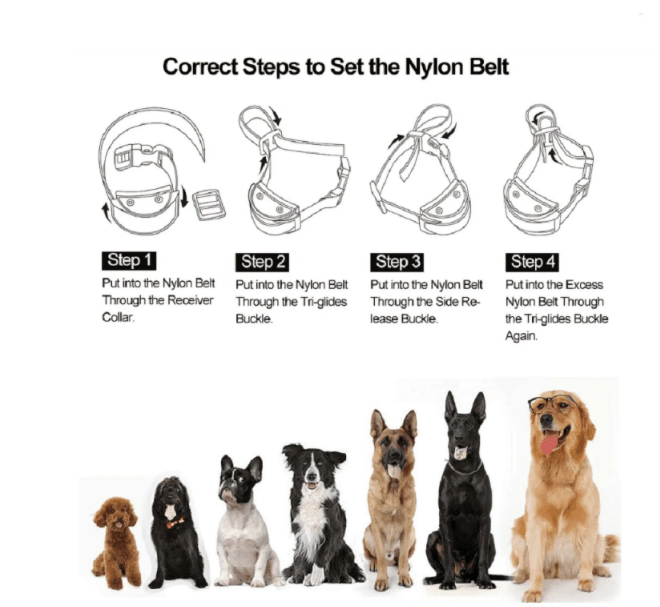 Petjoy Dog Bark Collar,Shock Anti Bark Collar with Beep & Shock,5 Levels,for Dogs 5-120lbs,Waterproof,Gold