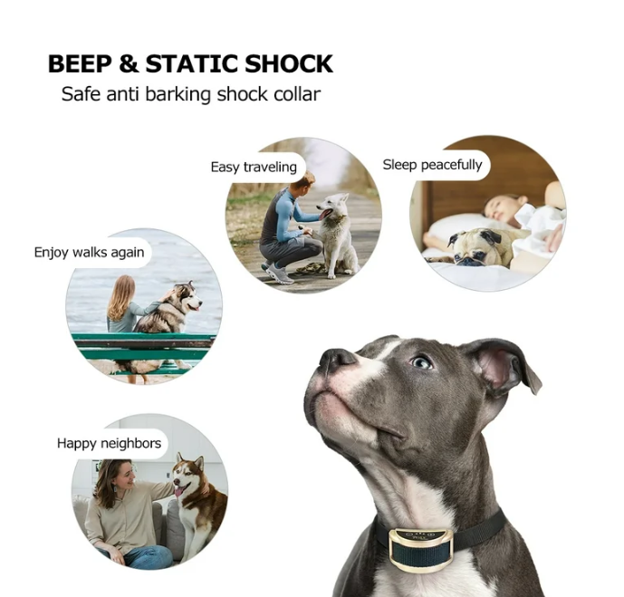 Petjoy Dog Bark Collar,Shock Anti Bark Collar with Beep & Shock,5 Levels,for Dogs 5-120lbs,Waterproof,Gold