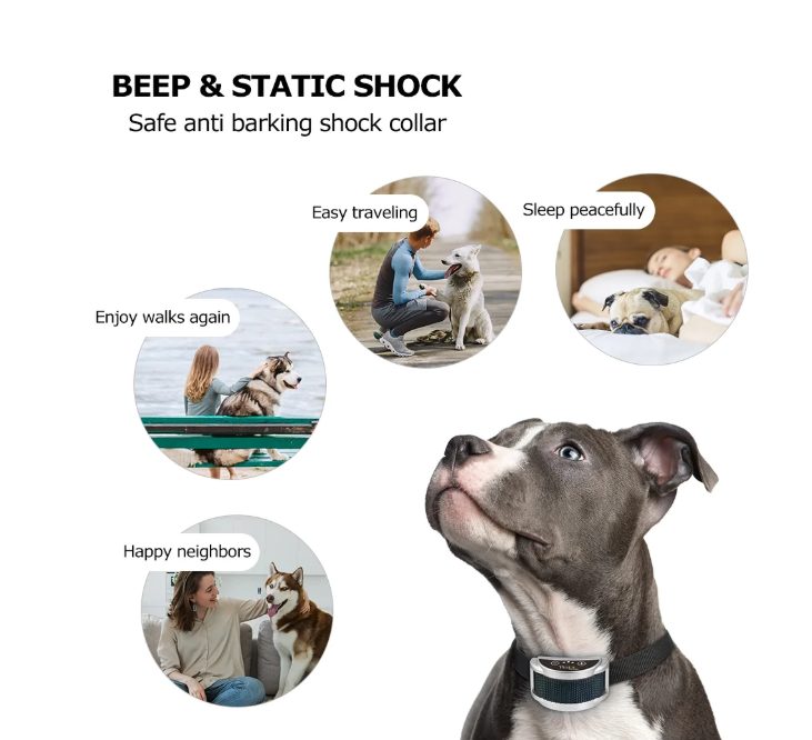 PetJoy Dog Bark Collar,Shock Anti Bark Collar with Beep & Shock,5 Levels,for Dogs 5-120lbs,Waterproof,Siver