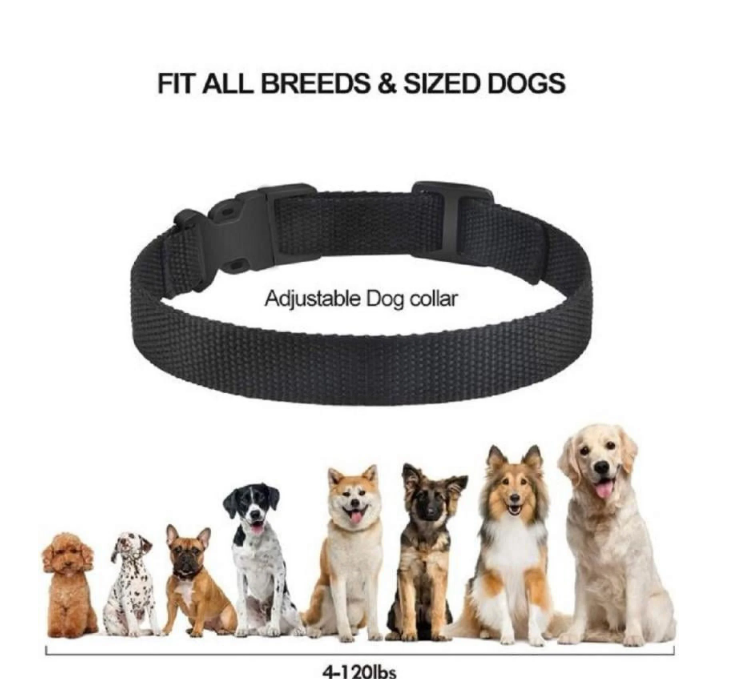 PetJoy Dog Bark Collar,Shock Anti Bark Collar with Beep & Shock,5 Levels,for Dogs 5-120lbs,Waterproof,Siver