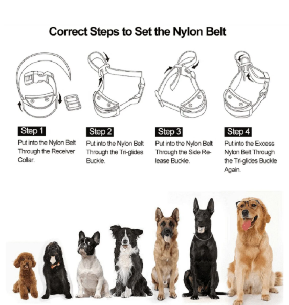 PetJoy Dog Bark Collar,Shock Anti Bark Collar with Beep & Shock,5 Levels,for Dogs 5-120lbs,Waterproof,Siver