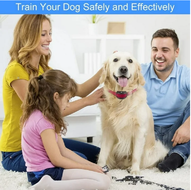 Petjoy Dog Shock Collar for 2 Dogs,Dog Training Collar with Remote,Rechargeable&Waterproof Vibration Dog Collar with Remote,1600Ft Range Dog Bark Collar for Small Medium Large Dog,Blue&Red Nylon