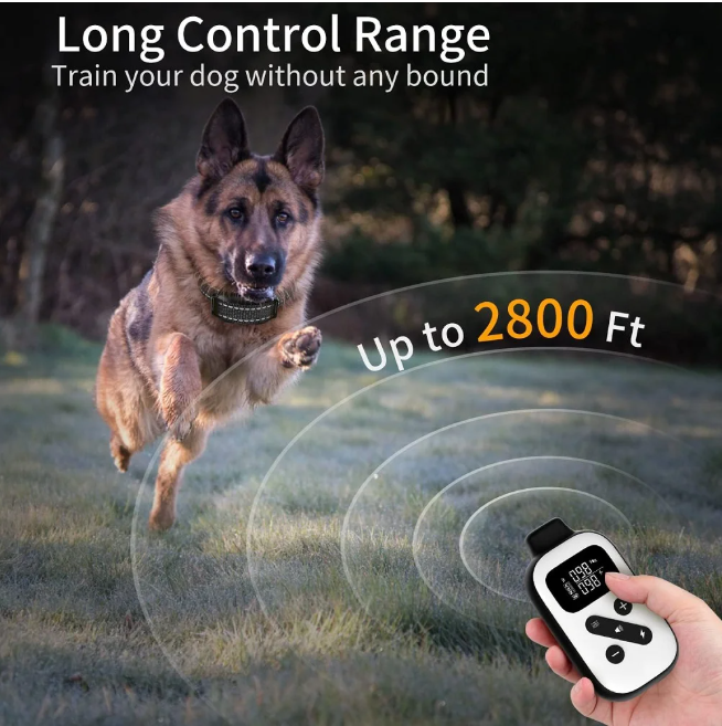Petjoy Dog Training Collars for 2 Dogs,Shock Collar with Remote for Medium Large Dogs, Rechargeable Auto Bark Collar, 3 Training Mode, Remote Range 2800 Ft,IPX7 Waterproof