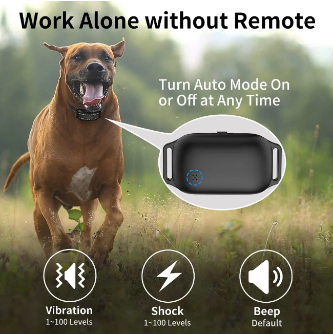 Petjoy Dog Training Collars for 2 Dogs,Shock Collar with Remote for Medium Large Dogs, Rechargeable Auto Bark Collar, 3 Training Mode, Remote Range 2800 Ft,IPX7 Waterproof