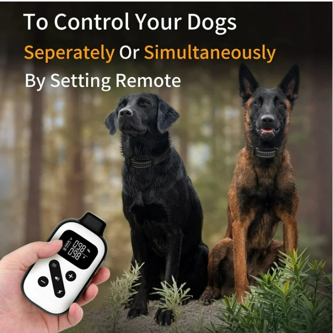 Petjoy 3 Dog Training Collar for Large Dogs, Automatic Bark Collar with Remote, Bark and Training Collar Combo, Shock Collar with 5 Adjustable Levels of Sensitivity to Suit All Breeds of Dogs