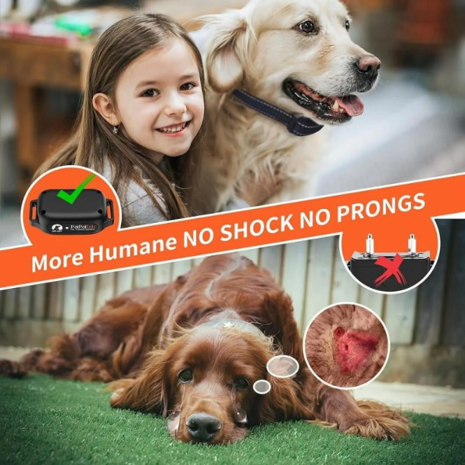 PaiPaitek No Shock Dog Training Collar with Remote 3300ft, Vibrate & Beep, Waterproof Rechargeable