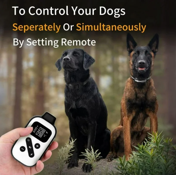 PaiPaitek Dog Training Collar For 2 Dogs,Shock Collar with Remote&Automatic Modes,Bark Collar with Beep,Vibration&Shock Modes