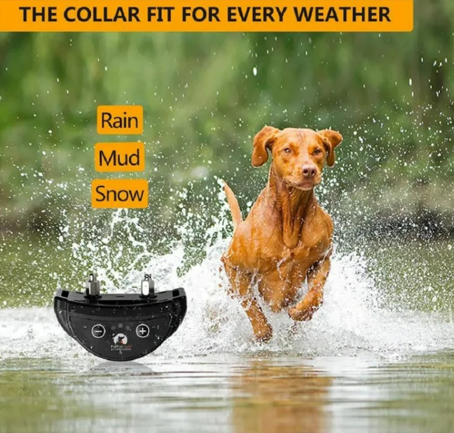 Paipaitek Dog Bark Collar,Automatic Shock & Beep,Waterproof & Rechargeable,For Small to Large Dogs,Black,3pcs