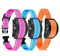 Paipaitek Dog Bark Collar,Automatic Shock & Beep,Waterproof & Rechargeable,For Small to Large Dogs,Black,3pcs