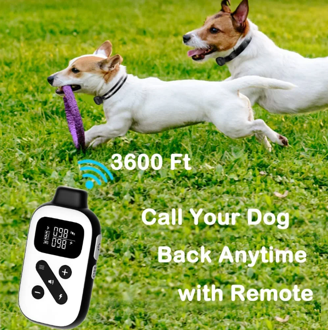 Paipaitek Shock Collar for Large Dogs, Bark Collar with Remote and Automatic Mode, Dog Training Collar with Beep, Vibration and Shock, Waterproof Electric Dog Collars