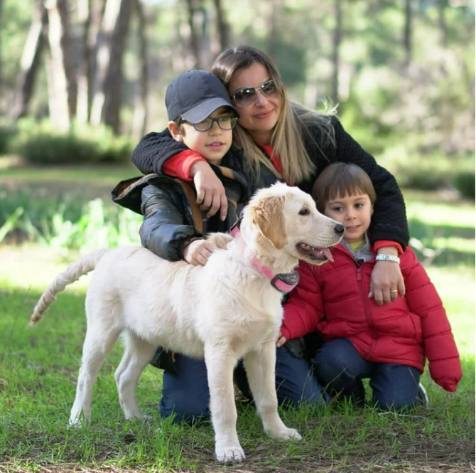 Paipaitek Dog Bark Collar,Automatic Shock & Beep,Waterproof & Rechargeable,For Small to Large Dogs,Black,2pcs