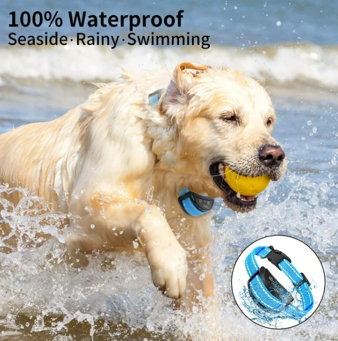 Paipaitek Dog Bark Collar,Automatic Shock & Beep,Waterproof & Rechargeable,For Small to Large Dogs,Black