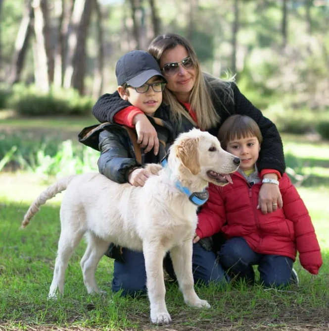 Paipaitek Dog Bark Collar,Automatic Shock & Beep,Waterproof & Rechargeable,For Small to Large Dogs,Black