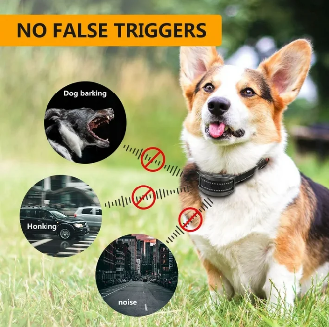PaiPaitek Anti Bark Collar for Dogs, Automatic Dog Bark Collar,Anti Barking Collar With LED display,Beep,Vibration&Electric Shock for Small Medium Large Dogs