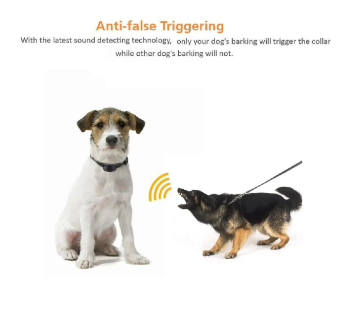 Paipaitek Dog Bark Collar, Automatic Shock & Beep, Waterproof & Rechargeable, For Small to Large Dogs