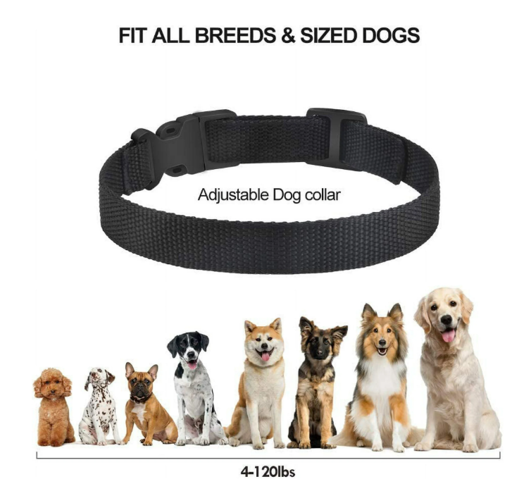 Paipaitek Dog Bark Collar,Automatic Shock & Beep,Waterproof & Rechargeable,For Small to Large Dogs,Black