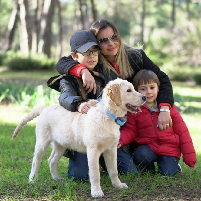 Paipaitek Dog Bark Collar, Automatic Shock & Beep, Waterproof & Rechargeable, For Small to Large Dogs