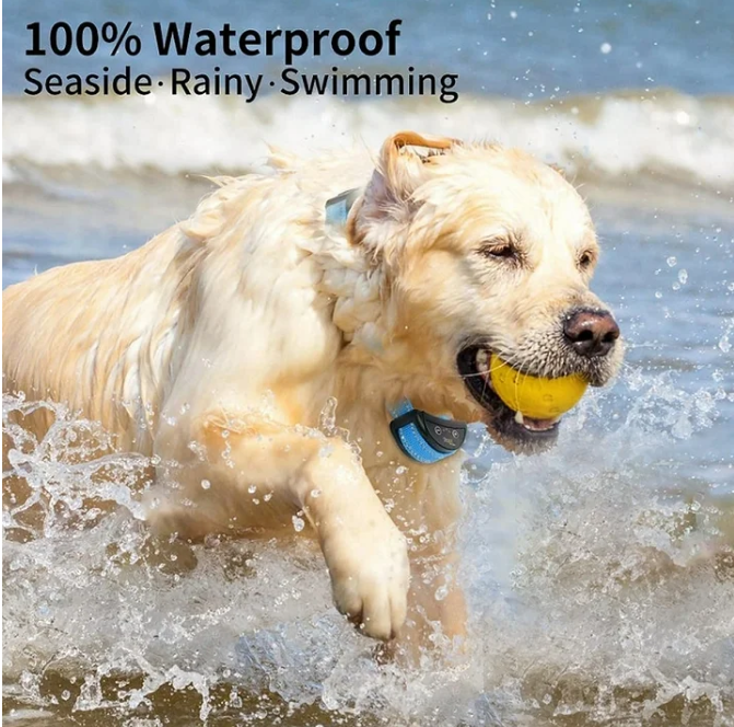 Paipaitek Dog Bark Collar, Automatic Shock & Beep, Waterproof & Rechargeable, For Small to Large Dogs