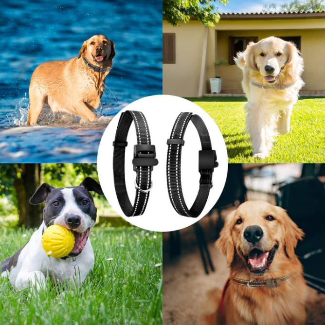 Paipaitek Replacement Shock Collar Strap, 3/4 inch Dog Collar Fit All Brands of Shock Training Collars and Bark Collars - Durable and Adjustable - Reflective Black Dog Collar