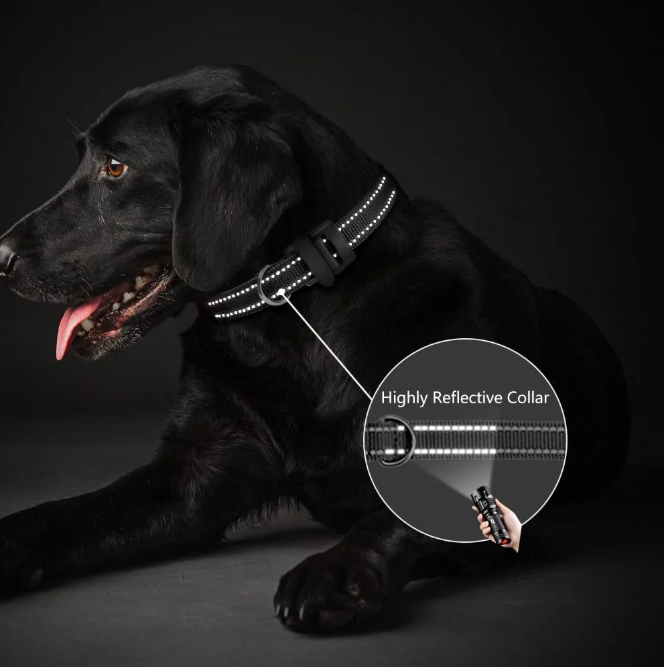 Paipaitek Replacement Shock Collar Strap, 3/4 inch Dog Collar Fit All Brands of Shock Training Collars and Bark Collars - Durable and Adjustable - Reflective Black Dog Collar