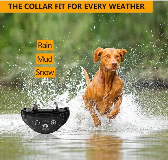 Paipaitek Dog Bark Collar, Automatic Shock & Beep, Waterproof & Rechargeable, For Small to Large Dogs