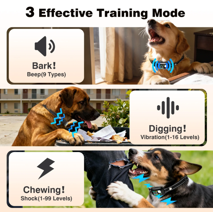 PetJoy 2 in 1 Dog Shock Collar with Remote 3 Dogs，3300Ft Dog Training Collar with 4 Modes，IPX7 Waterproof Bark Collar for Large Medium Small Dogs（5-120lbs) with Flashlight