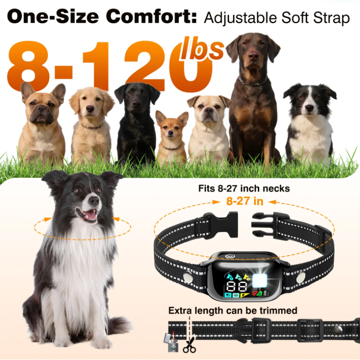 PetJoy 2 in 1 Dog Shock Collar with Remote 3 Dogs，3300Ft Dog Training Collar with 4 Modes，IPX7 Waterproof Bark Collar for Large Medium Small Dogs（5-120lbs) with Flashlight
