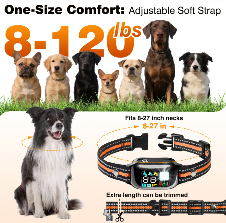PetJoy 3300Ft Dog Training Collar with 4 Modes,2 in 1 Dog Shock Collar with Remote 2 Dogs,IPX7 Waterproof Bark Collar for Small to Large Dogs with Flashlight,2 Count