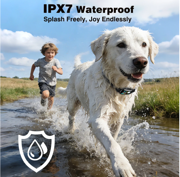 PetJoy 2 in 1 Dog Shock Collar with Remote Control，3300Ft Dog Training Collar with Beep Vibration Static Anti Barking，IPX7 Waterproof Bark Collar for Large Small Dogs with Flashlight,2 Count