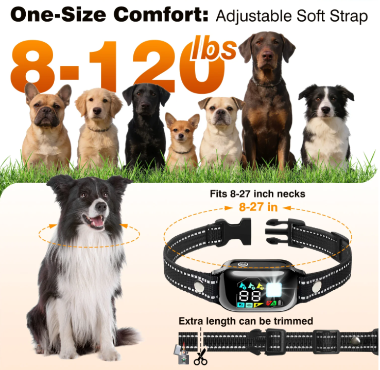 PetJoy 2 in 1 Dog Shock Collar with Remote Control，3300Ft Dog Training Collar with Beep Vibration Static Anti Barking，IPX7 Waterproof Bark Collar for Large Small Dogs with Flashlight,2 Count