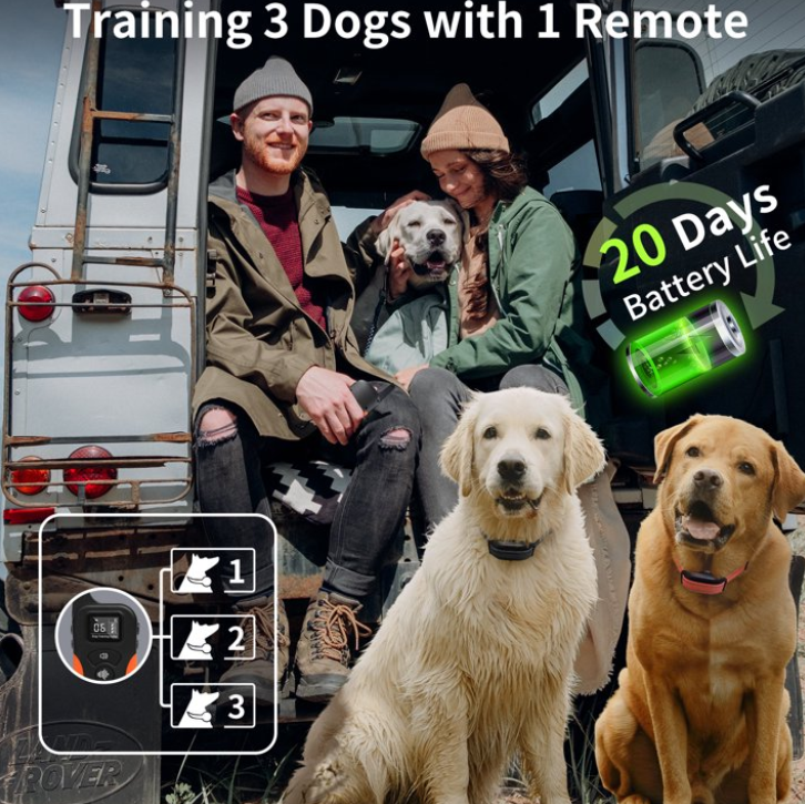 Dog Vibration Collar with Controller for 2 Dogs,No Shock Dog Training Collar with Remote,Strong Vibrating Dog Collar for Dogs 5-120lbs,Beep and Vibrate Only,9 Types,3300ft Range,No Prongs