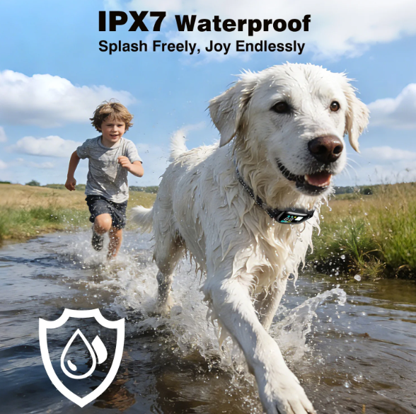 PetJoy Dog Shock Collar with Remote - 3300Ft Dog Training Collar with Beep Vibration & Static Modes, IPX7 Waterproof Dog Bark Collar for Small Large Medium Dogs with Reflective Flashlight & Strap