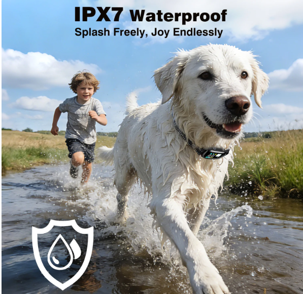 PetJoy Dog Shock Collar with Remote 2 Dogs - 3300Ft Dog Training Collar with Beep Vibration & Static Modes, IPX7 Waterproof Dog Bark Collar for Small Large Medium Dogs with Reflective Flashlight & S（副本）