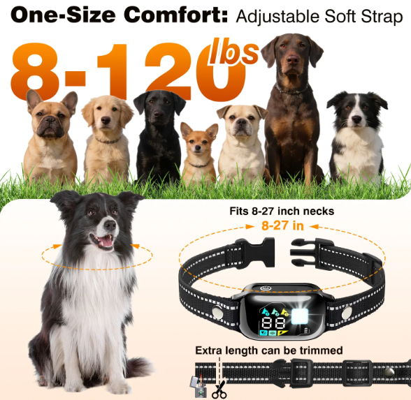 PetJoy Dog Shock Collar with Remote 2 Dogs - 3300Ft Dog Training Collar with Beep Vibration & Static Modes, IPX7 Waterproof Dog Bark Collar for Small Large Medium Dogs with Reflective Flashlight & S（副本）