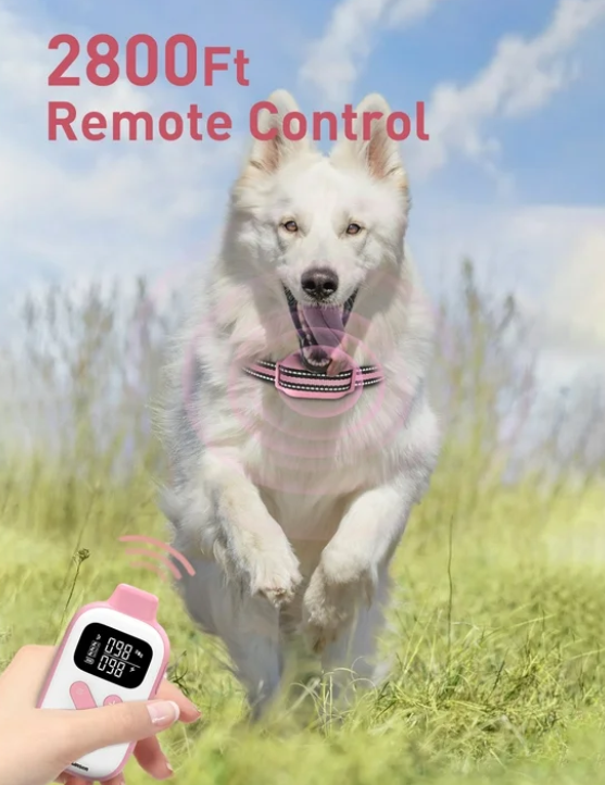 Dog Training Collar with Remote，2-in-1 Bark and Shock Collar for Dogs，Automatic Bark Collar with Remote, Dog Shock Collar with Vibration, Beep, Shock and Automatic,Pink