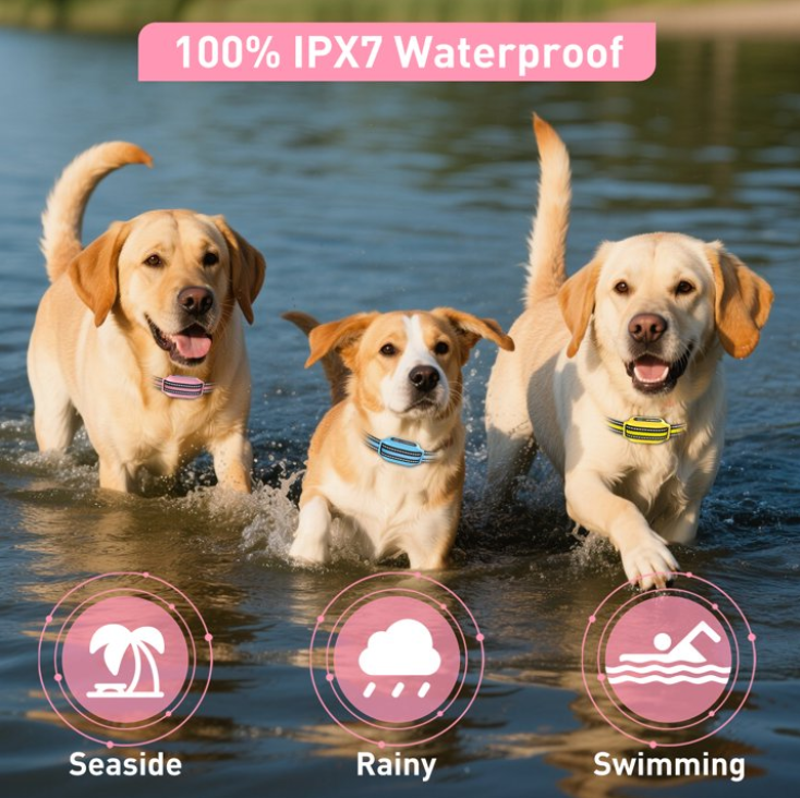 PetJoy 2 in 1 Bark Collar and Dog Shock Collar with Remote 3 Pack,3300FT Dog Training Collar with 4 Modes-Automatic Bark,Beep,Vibration& Shock,IPX7 Waterproof,Christmas Birthday Gifts