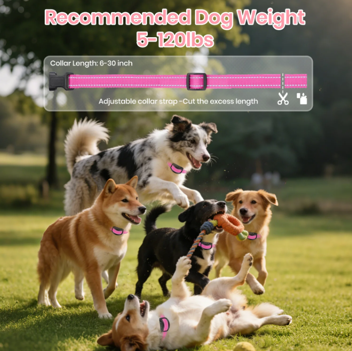 PetJoy Dog Bark Collar，Adjustable Sensitivity Anti Bark Collar with Beep & Shock, Pink,Blue (2 Pack)
