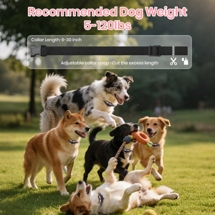 Petjoy Dog Bark Collar,Shock Anti Bark Collar with Beep & Shock,5 Levels,for Dogs 5-120lbs,Waterproof,Pink