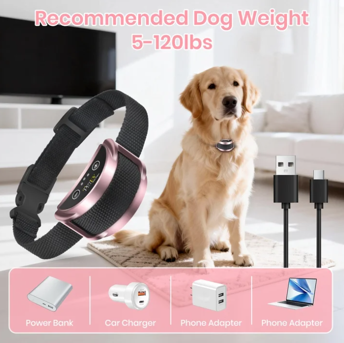 Petjoy Dog Bark Collar,Shock Anti Bark Collar with Beep & Shock,5 Levels,for Dogs 5-120lbs,Waterproof,Pink