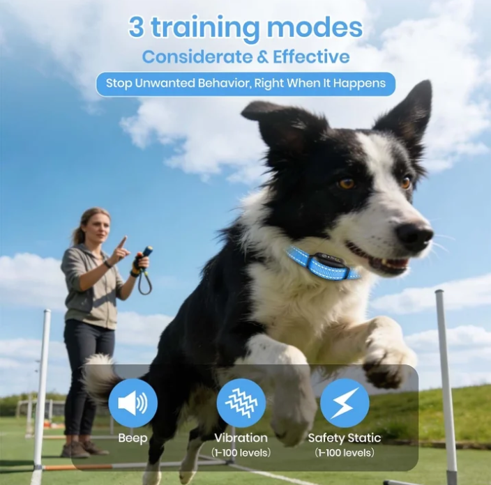Petjoy Dog Training Collar For 3 Dogs,Dog Shock Collar with Remote,3600Ft Range Training and Auto Anti Bark Collar,3 Modes-Beep,Vibration& Shock,IPX7 Waterproof
