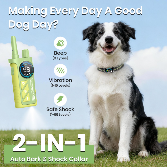 PetJoy 2 in 1 Dog Shock Collar with Remote 2 Dogs,4 Modes Dog Training Collar for Small Large Dogs,3300Ft Anti Bark Collar with Flashlight,IPX7 Waterproof