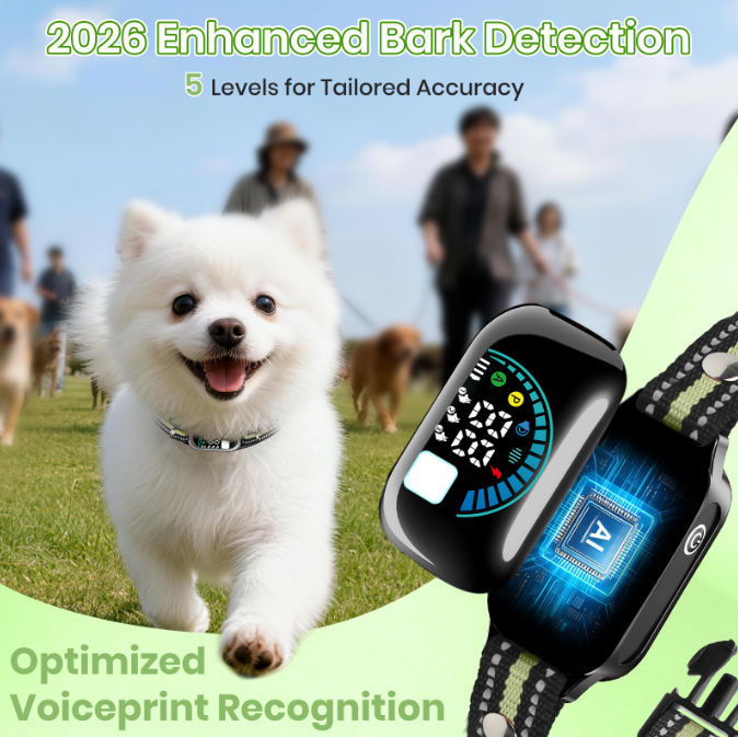 PetJoy 2 in 1 Dog Shock Collar with Remote 2 Dogs,4 Modes Dog Training Collar for Small Large Dogs,3300Ft Anti Bark Collar with Flashlight,IPX7 Waterproof