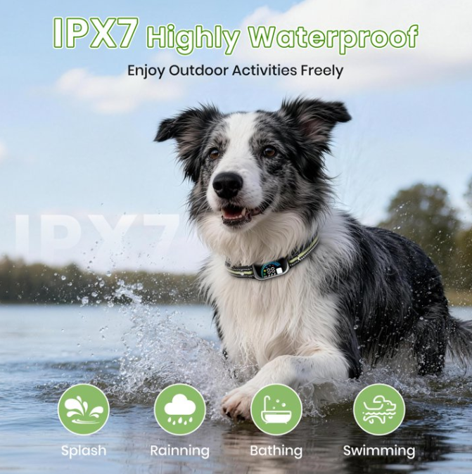 PetJoy 2 in 1 Dog Shock Collar with Remote 2 Dogs,4 Modes Dog Training Collar for Small Large Dogs,3300Ft Anti Bark Collar with Flashlight,IPX7 Waterproof