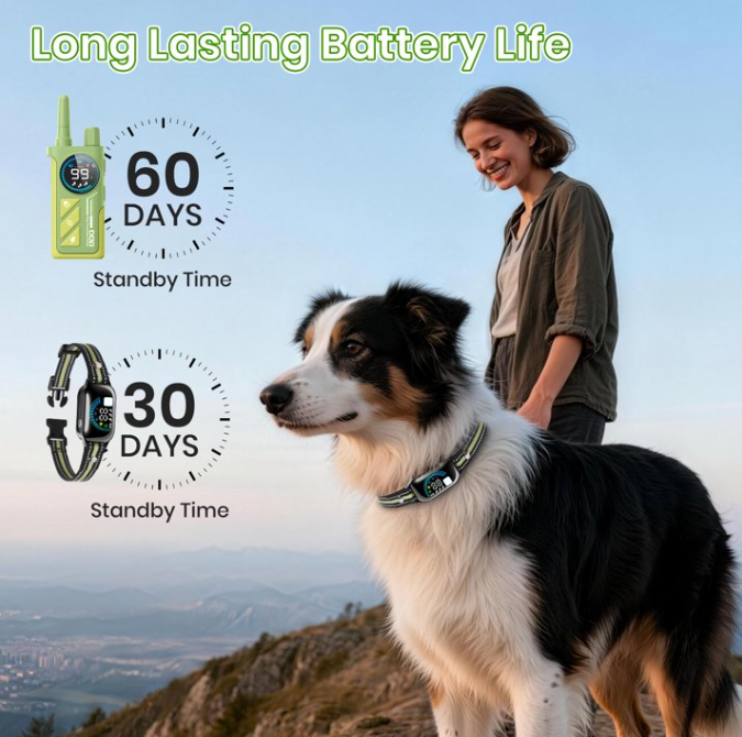PetJoy 2 in 1 Dog Shock Collar with Remote 2 Dogs,4 Modes Dog Training Collar for Small Large Dogs,3300Ft Anti Bark Collar with Flashlight,IPX7 Waterproof