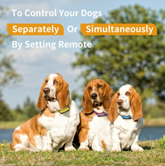 PetJoy 3 Dog Shock Collar for Large Dogs，Dog Training Collar for 3 Dogs，Automatic Bark Collar with Remote，Training Collar with Beep, Vibration ,Shock and Flashlight,Level 1-100, 3600 ft Range