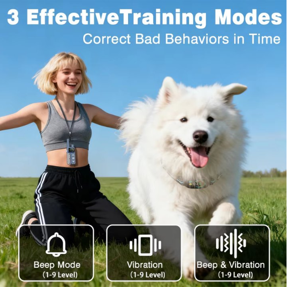 Paipaitek No Shock Dog Training Collar with Remote, 3300ft Range, Vibrating & Waterproof